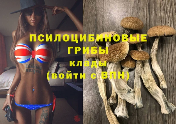 ALPHA PVP Володарск