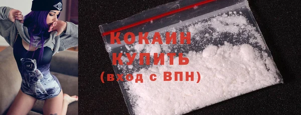 первитин Гусев