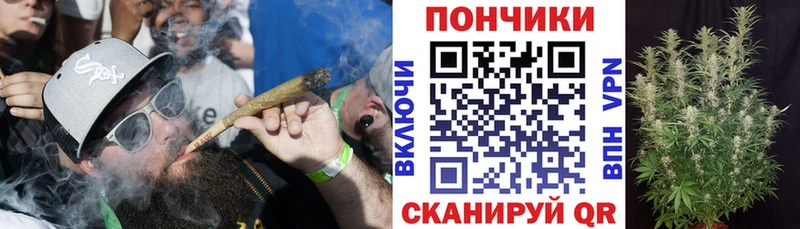 Бошки марихуана сатива  Зея 